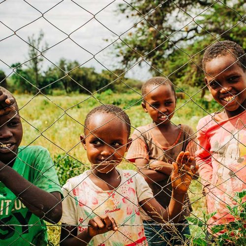 Green Minds Clubs🌱🌱