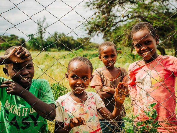 Green Minds Clubs🌱🌱